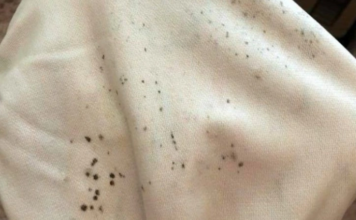 How to Remove Mold from Clothes